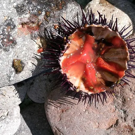 H24 Vacanze דירה Villanova Monteleone