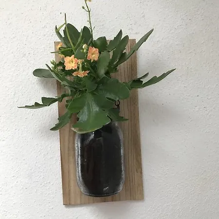 דירה H24 Vacanze Villanova Monteleone